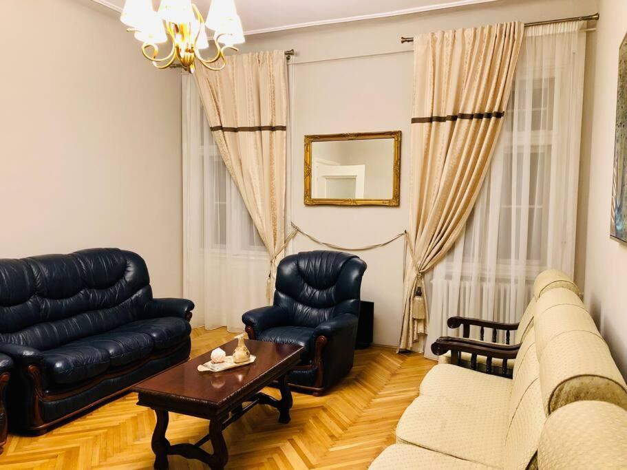 Ultra-Central And Elegant Ap In Opera Square Vic23 Temeşvar Dış mekan fotoğraf